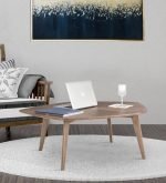 TeakLab Coffee Table