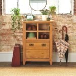 Shoe Cupboard and Organiser